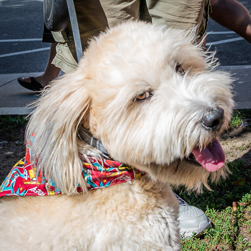 Salem, MA - Sep 2025